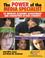 Cover of: The Power of the Media Specialist to Improve Academic Achievement and Strengthen At-Risk Students