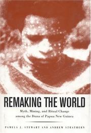 Remaking the World by STEWART PAMELA J