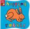 Cover of: Hopping Rabbit