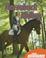 Cover of: Horseback Riding (Outdoor Adventures)