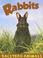 Cover of: Rabbits (Backyard Animals)