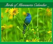 Cover of: Birds Of Minnesota 2006 Calendar