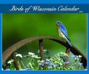 Cover of: Birds Of Wisconsin 2006 Calendar | Sharon Stiteler