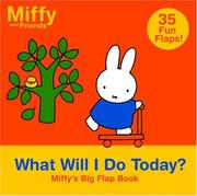 Cover of: What Will I Do Today?: Miffy's Big Flap Book (Miffy and Friends)