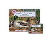 Cover of: Mallard Duck Meadow View Pond (Smithsonians Backyard) (Smithsonians Backyard) by Wendy Pfeffer