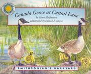 Cover of: Canada Goose at Cattail Lane