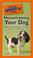 Cover of: The Pocket Idiot's Guide to Housetraining your Dog (Complete Idiot's Guide to)