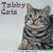Cover of: Tabby Cats 2007 Wall Calendar