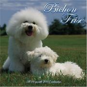 Cover of: Bichon Frise 2007 Wall Calendar