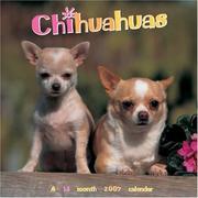 Cover of: Chihuahuas 2007 Wall Calendar