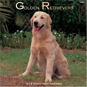 Cover of: Golden Retrievers 2007 Calendar