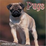 Cover of: Pugs 2007 Wall Calendar