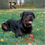 Cover of: Rottweilers 2007 Wall Calendar