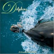 Cover of: Dolphins 2007 Calendar