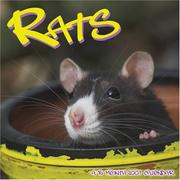 Cover of: Rats 2007 Wall Calendar