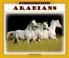 Cover of: Arabians (Majestic Horses)