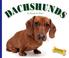 Cover of: Dachshunds (Domestic Dogs)