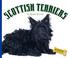 Cover of: Scottish Terriers (Domestic Dogs)