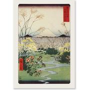 Cover of: NOTECARDS: MT. FUJI (Note Card Series)