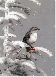 Frosty Perch (Large Holiday Cards)