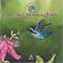 Cover of: The Bee Hummingbird (Animals of Americas)