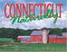 Cover of: Connecticut, Naturally 2006 Calendar