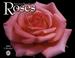 Cover of: Roses 2007 Calendar