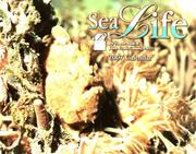 Cover of: Sea Life 2007 Calendar