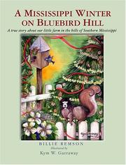Cover of: A Mississippi Winter on Bluebird Hill