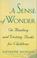 Cover image for A sense of wonder