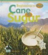 Cover of: Cane to Sugar (Beginning to End) by Julie Murray