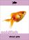 Cover of: Goldfish