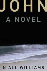 Cover of: John: A Novel