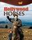 Cover of: Hollywood Horses (Horse Power)