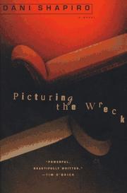 Cover of: Picturing the wreck by Dani Shapiro
