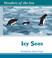 Cover of: Icy Seas (Wonders of the Sea)