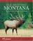 Cover of: Elk Hunting Montana