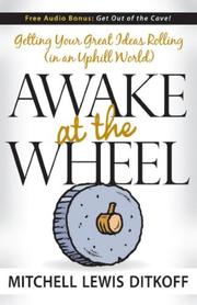 Cover of: Awake at the Wheel by Mitchell Lewis Ditkoff