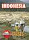 Cover of: Indonesia (Countries in Crisis)