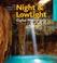 Cover of: The Complete Guide to Night & Lowlight Photography (A Lark Photography Book)