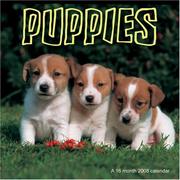 Cover of: Puppies 2008 Wall Calendar | Magnum Publications