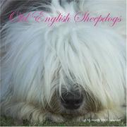 Cover of: Old English Sheepdogs 2008 Wall Calendar | Magnum Publications
