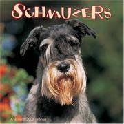Cover of: Schnauzers 2008 Wall Calendar | Magnum Publications