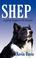 Cover of: Shep Loyalty Beyond All Bounds