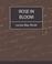 Cover of: Rose in Bloom - Louisa May Alcott
