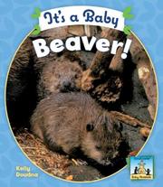 Cover of: It's a Baby Beaver! (Baby Mammals)