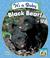 Cover of: It's a Baby Black Bear! (Baby Mammals)