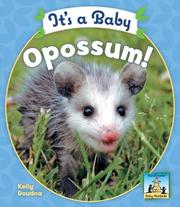 Cover of: It's a Baby Opossum! (Baby Mammals)