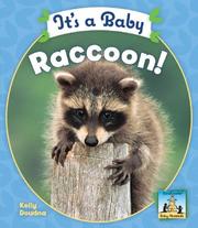 Cover of: It's a Baby Raccoon! (Baby Mammals)