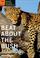 Cover of: Beat About the Bush